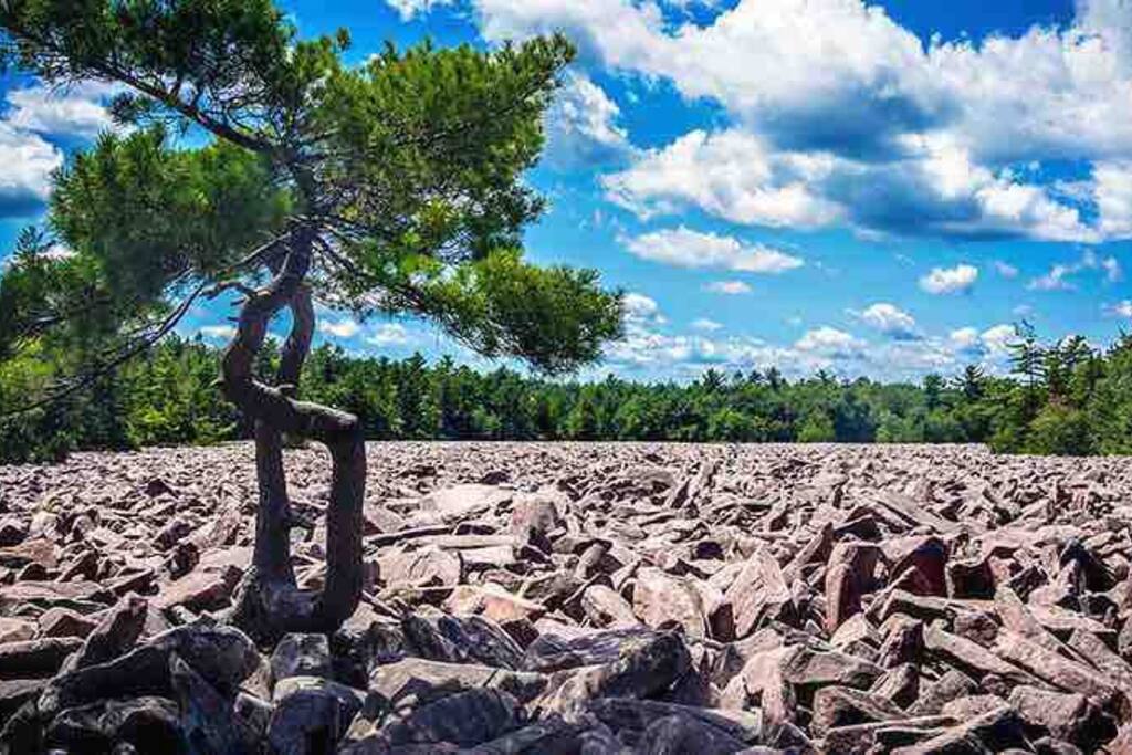 Boulder field is a true relic of the past at Hickory Run State Park

Hike to the Waterfalls and largest Boulder Field in North America

A National Natural Landmark & State Park Nature Area. It has rem - *Bear Hugs Chalet* SKI*Games *NewHotTub*Fire Pit - Lake Harmony