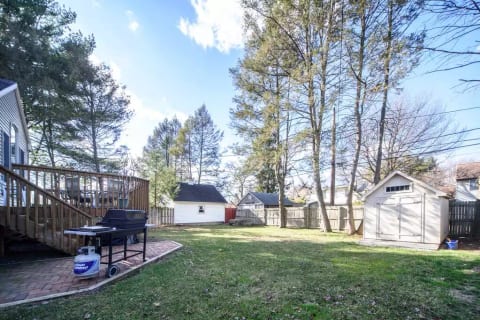 Fenced in yard for fido