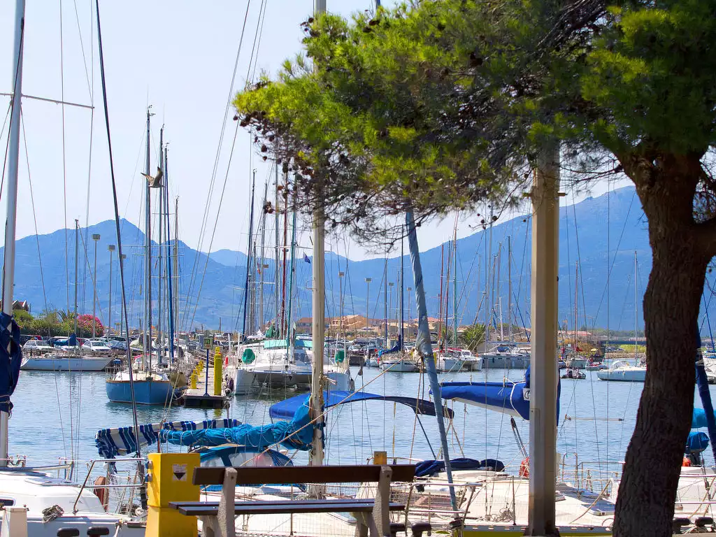 Les Goelettes - Saint-Cyprien