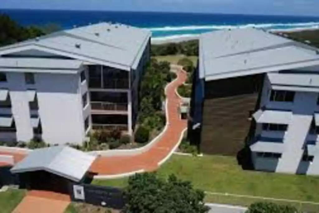 million-view-watch-whales-from-comfort-of-home/