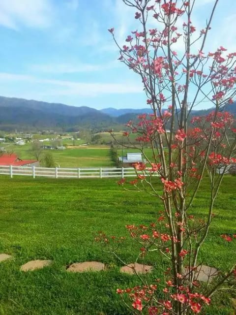View from front of property