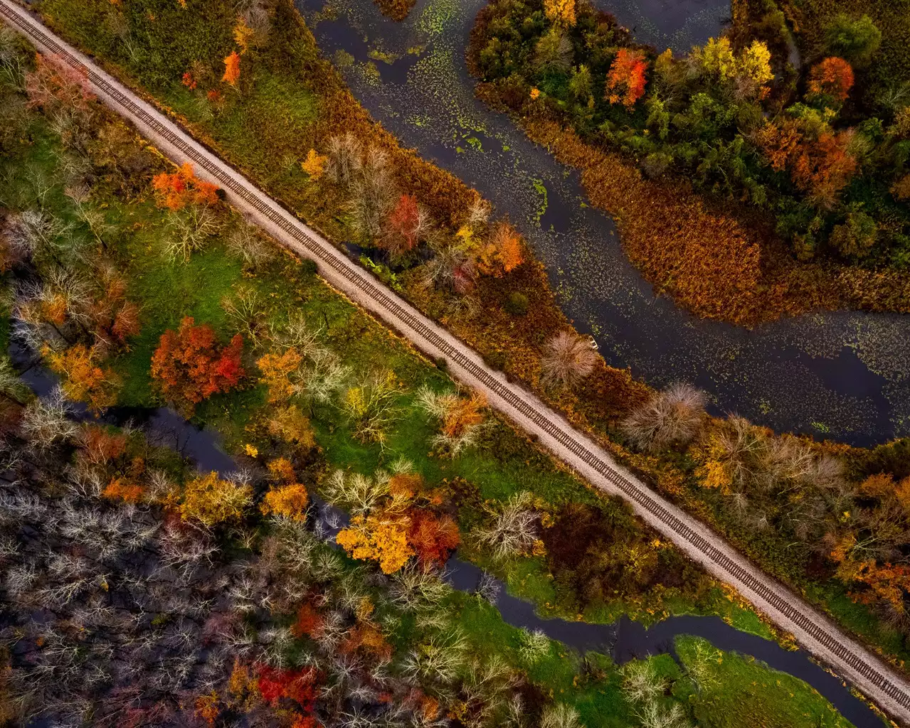 Hawk Hill - Sussex County