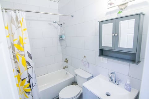 Renovated Apt in Brooklyn