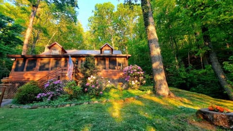 The Mountain Forager Cabin