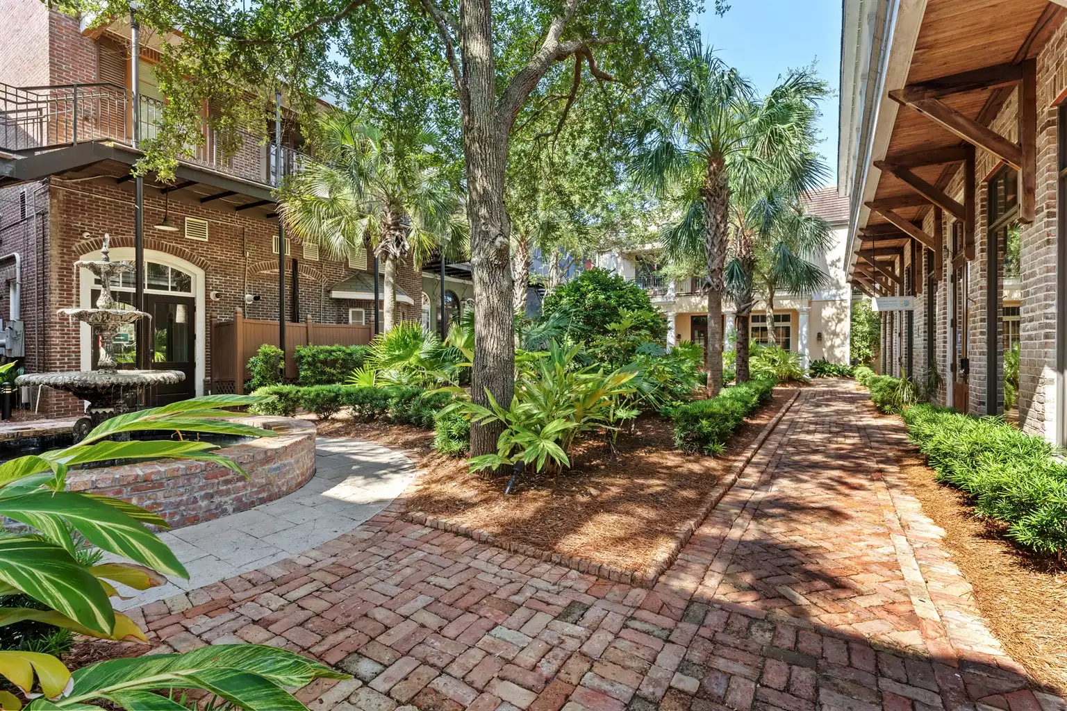 Beautiful garden area