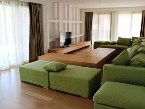 Villa en bois