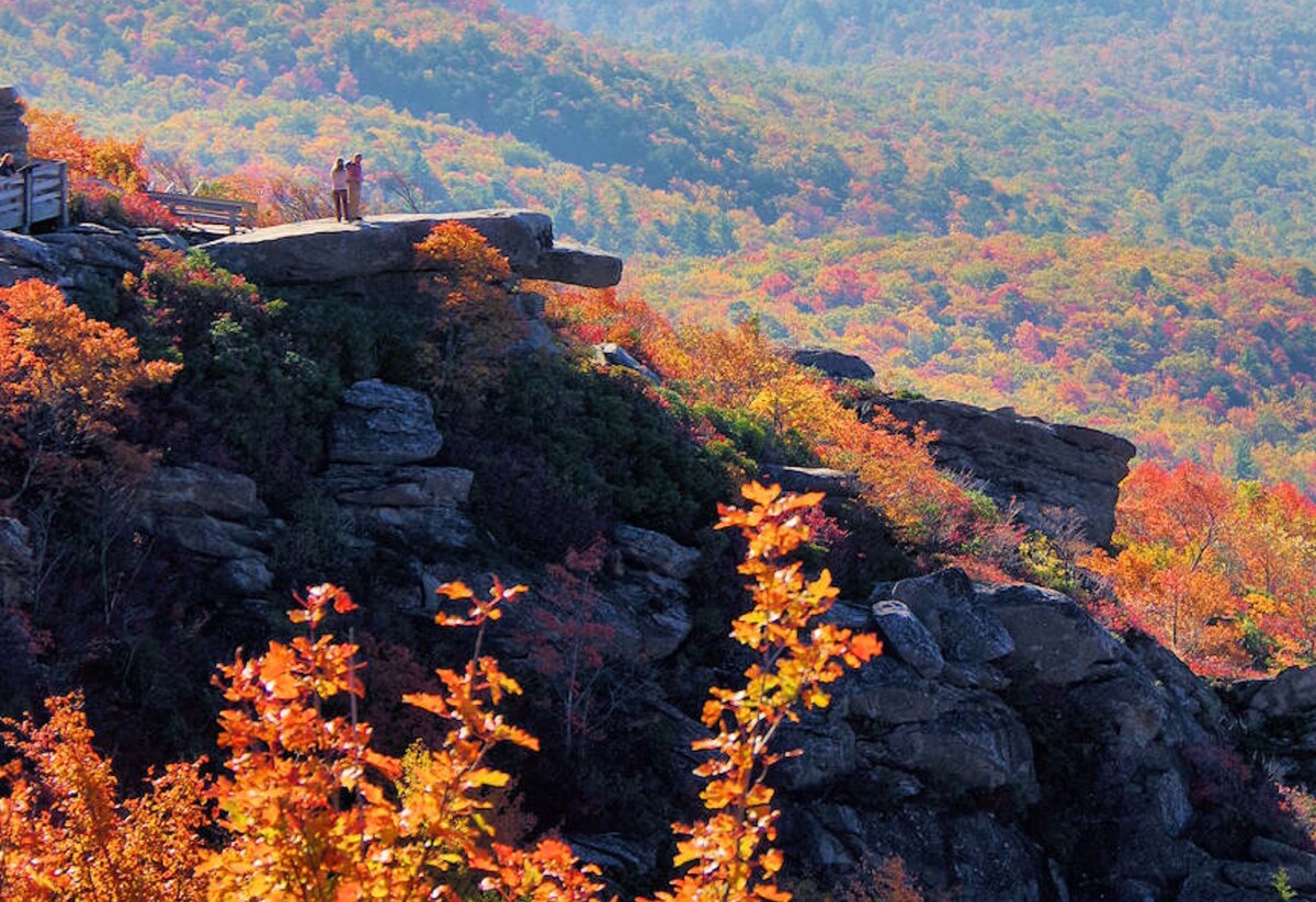 No caption needed! Suite Escape@Snowlake   3-30 NTS | WALK to Lifts