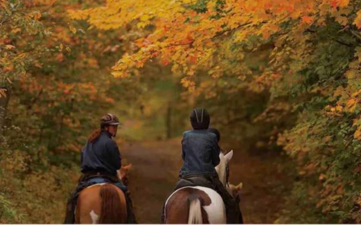 Suite Escape-Discounts-Steps to Slopes-Tubing image 95 Suite Escape@Snowlake   3-30 NTS | WALK to Lifts