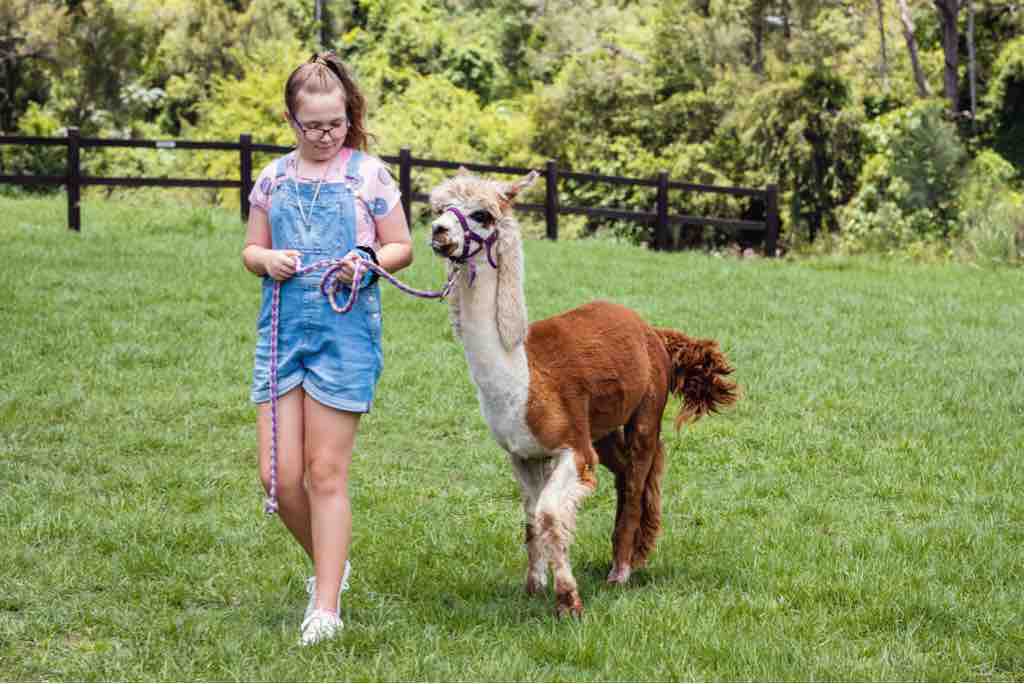 Suite Escape-Discounts-Steps to Slopes-Tubing image 99 Suite Escape@Snowlake   3-30 NTS | WALK to Lifts