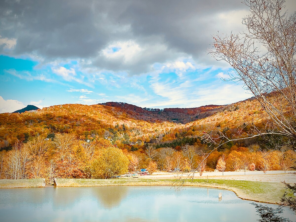 Suite Escape-Discounts-Steps to Slopes-Tubing image 88 Suite Escape@Snowlake   3-30 NTS | WALK to Lifts