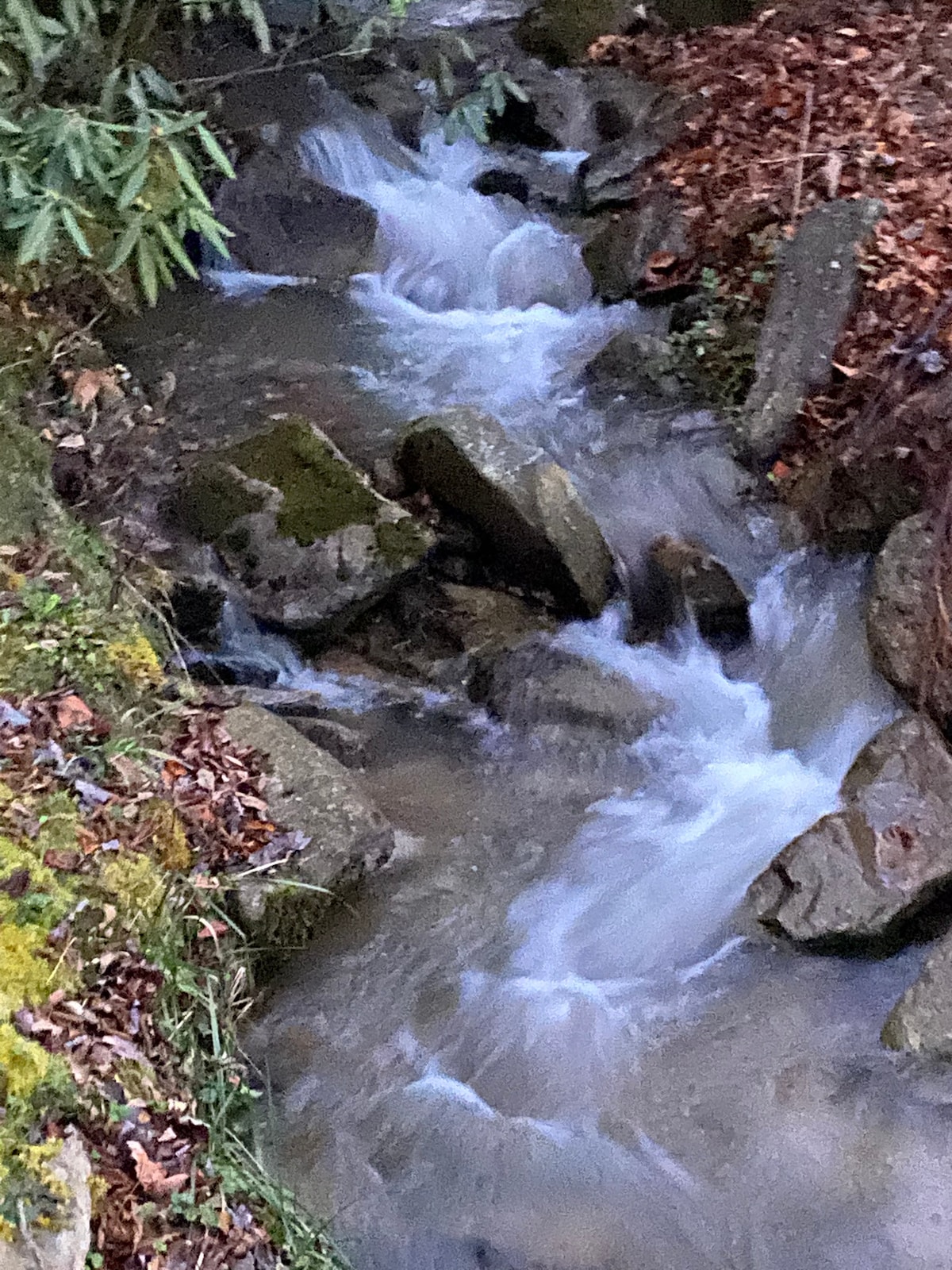 Listen to the soft running stream from the two decks Suite Escape@Snowlake   3-30 NTS | WALK to Lifts