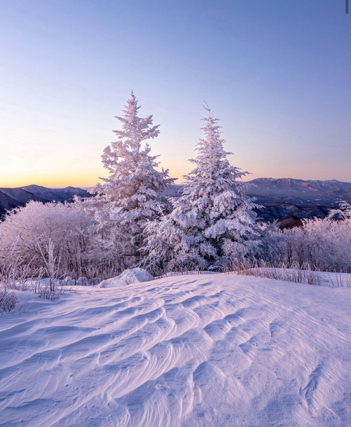 Suite Escape-Discounts-Steps to Slopes-Tubing image 71 Suite Escape@Snowlake   3-30 NTS | WALK to Lifts