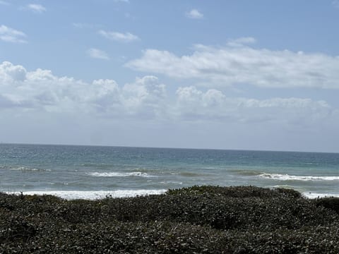 View from deck