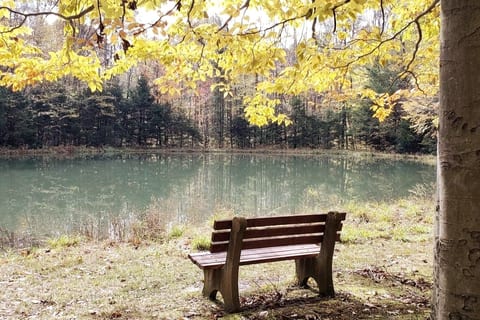 Imagine the peacefulness...