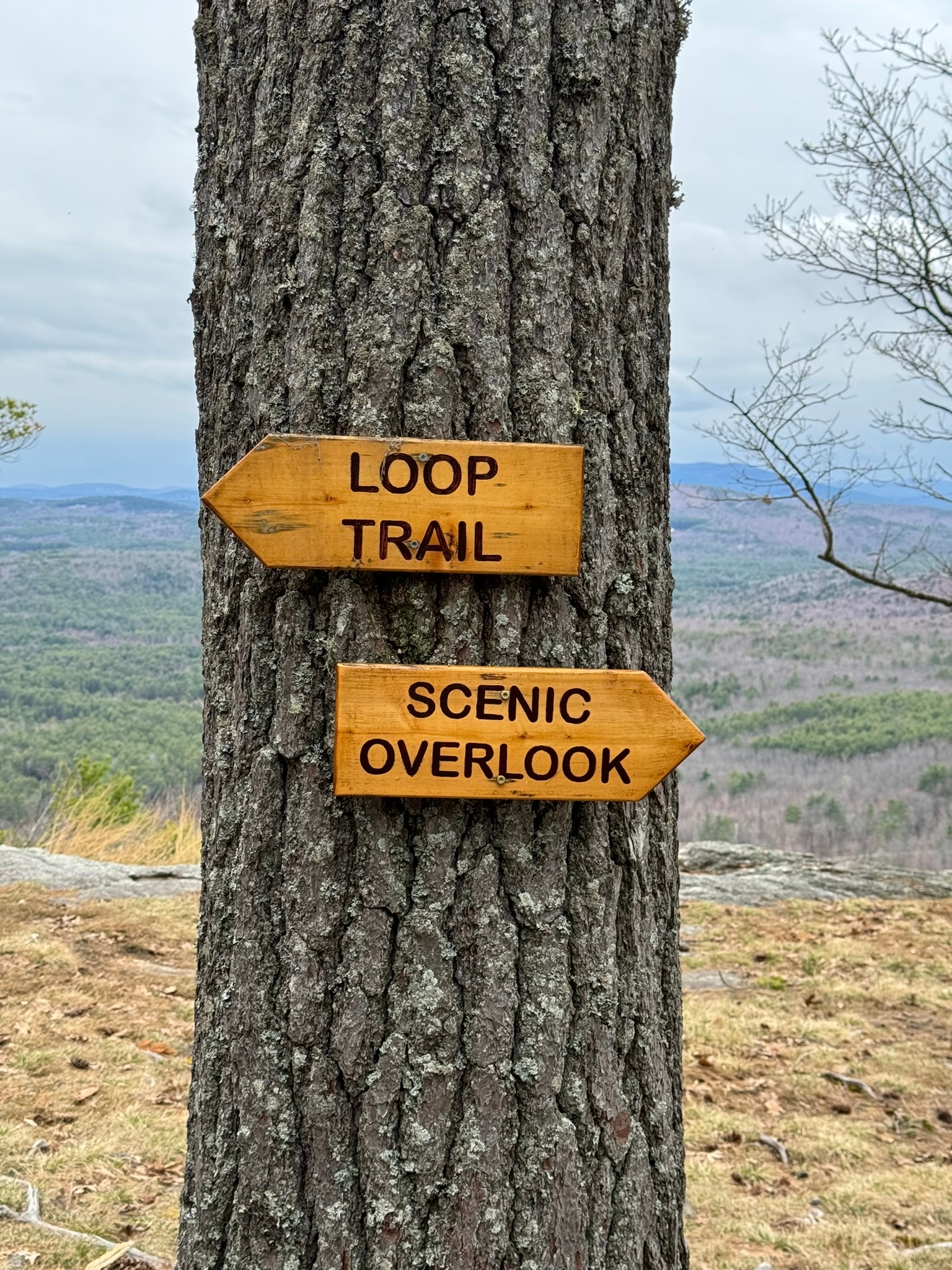 Sabattus Mountain Trail