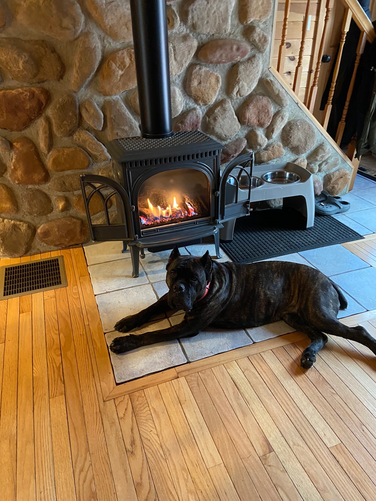 Two well-behaved dogs welcome!