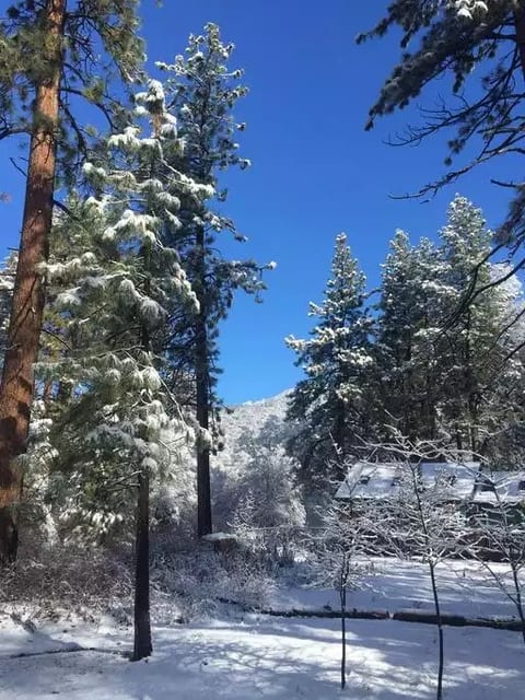 Winter View