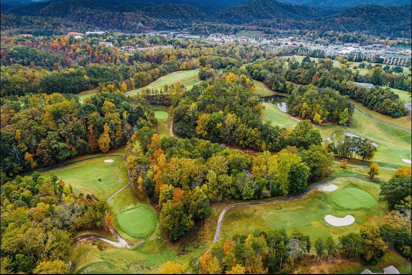 Gnoming Around - Gatlinburg