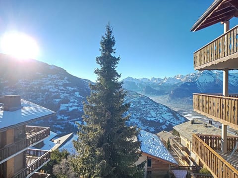 View
