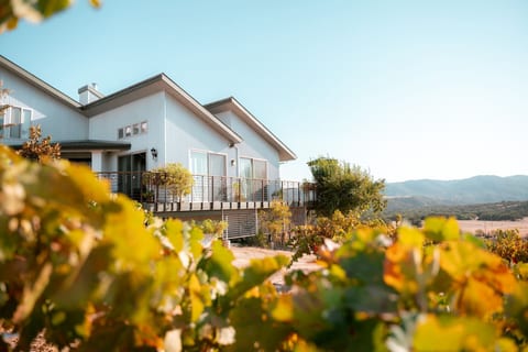 Be Suite Vineyard Retreat