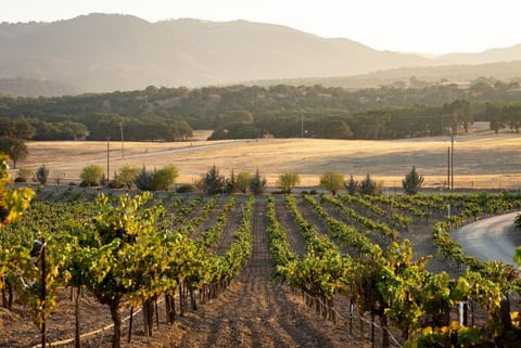 Paso Robles - Vineyard Getaway - EV Charger