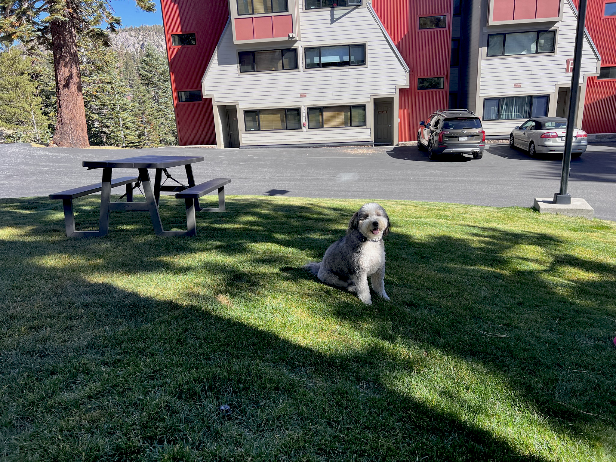 entrance to the Gondola Chalet. Park in front of the door.