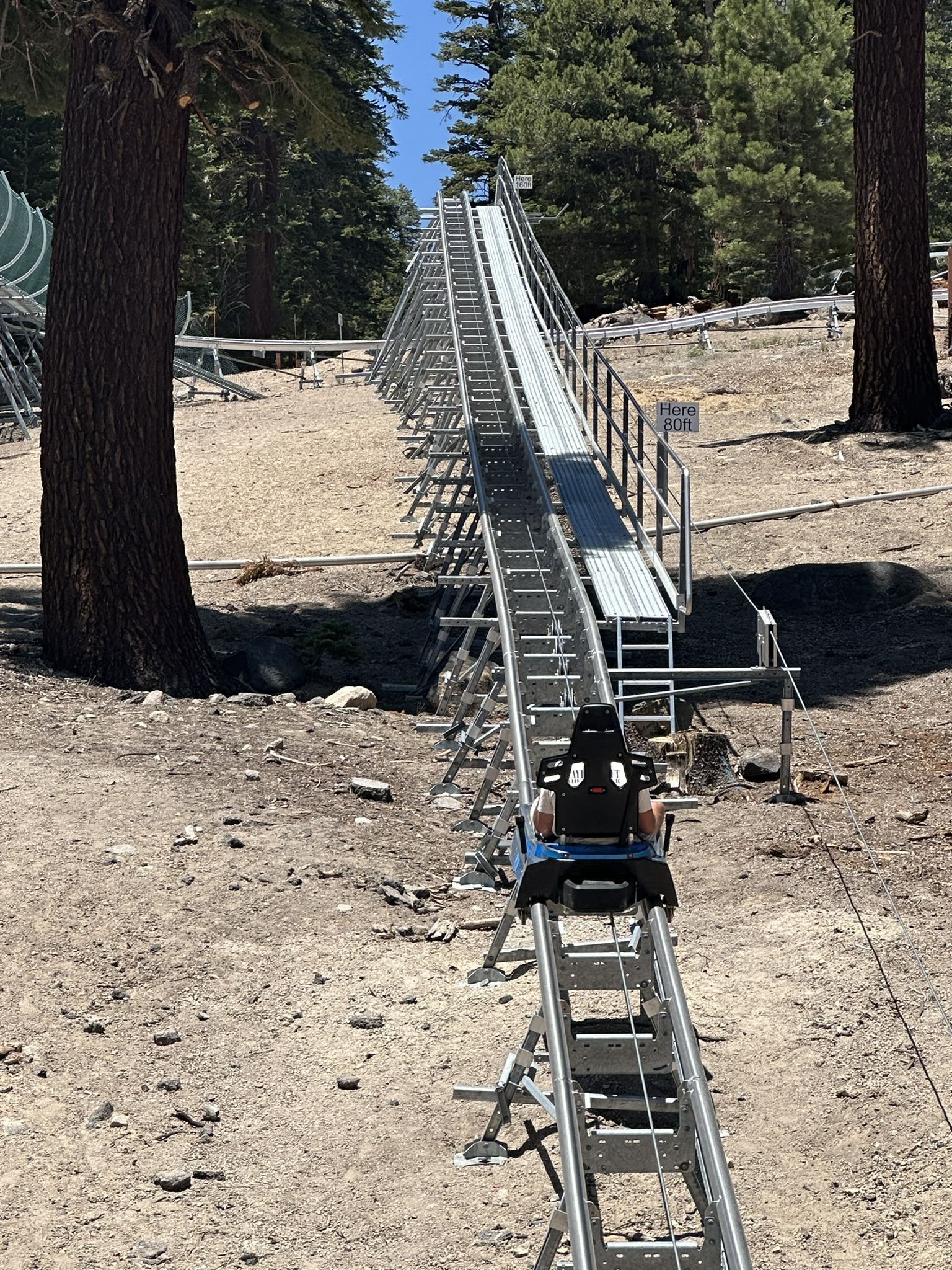Alpine Coaster in Mammoth Lakes