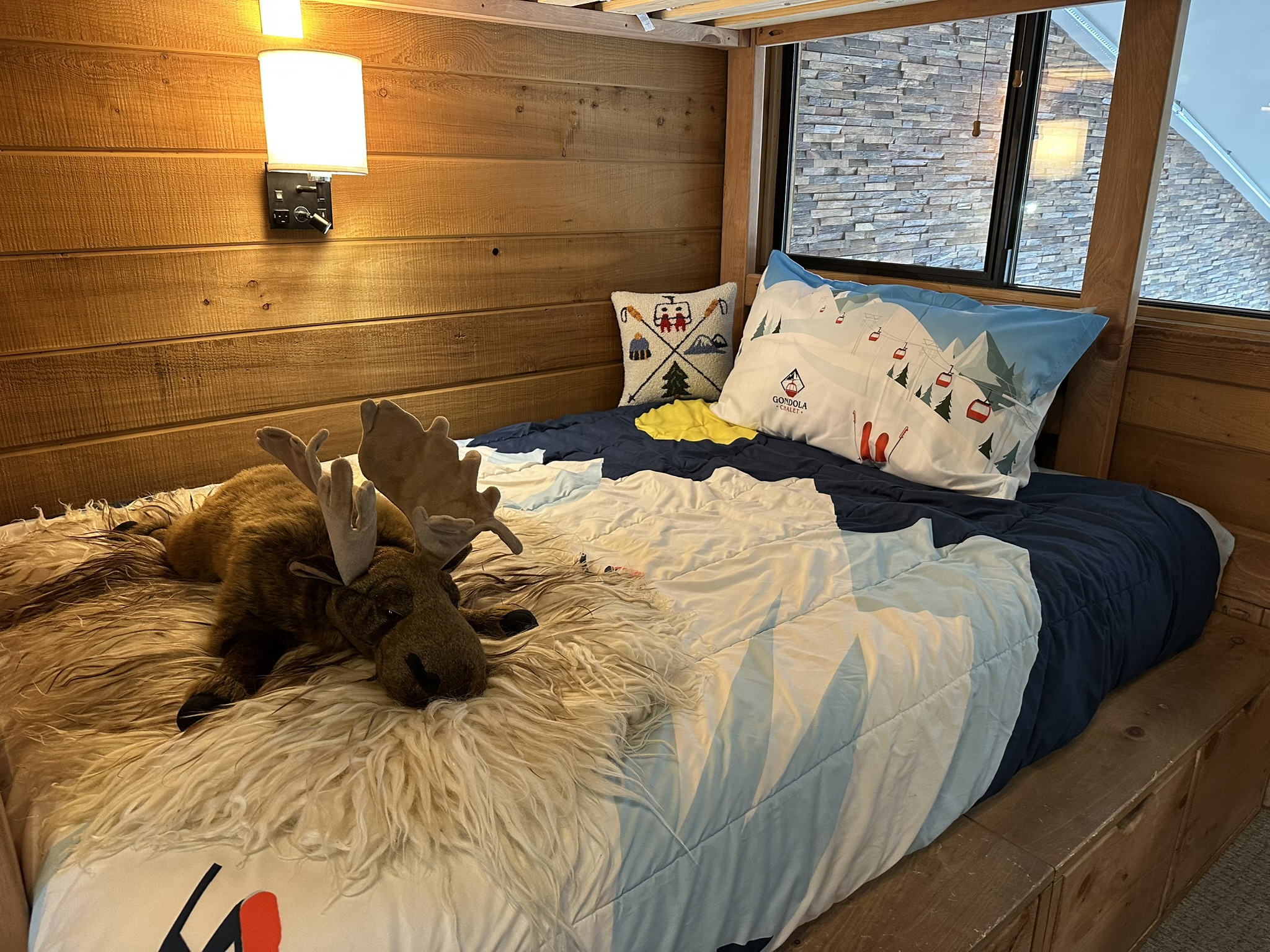 2 Twins/ 2 Fulls, wii, xbox Bunk room 4