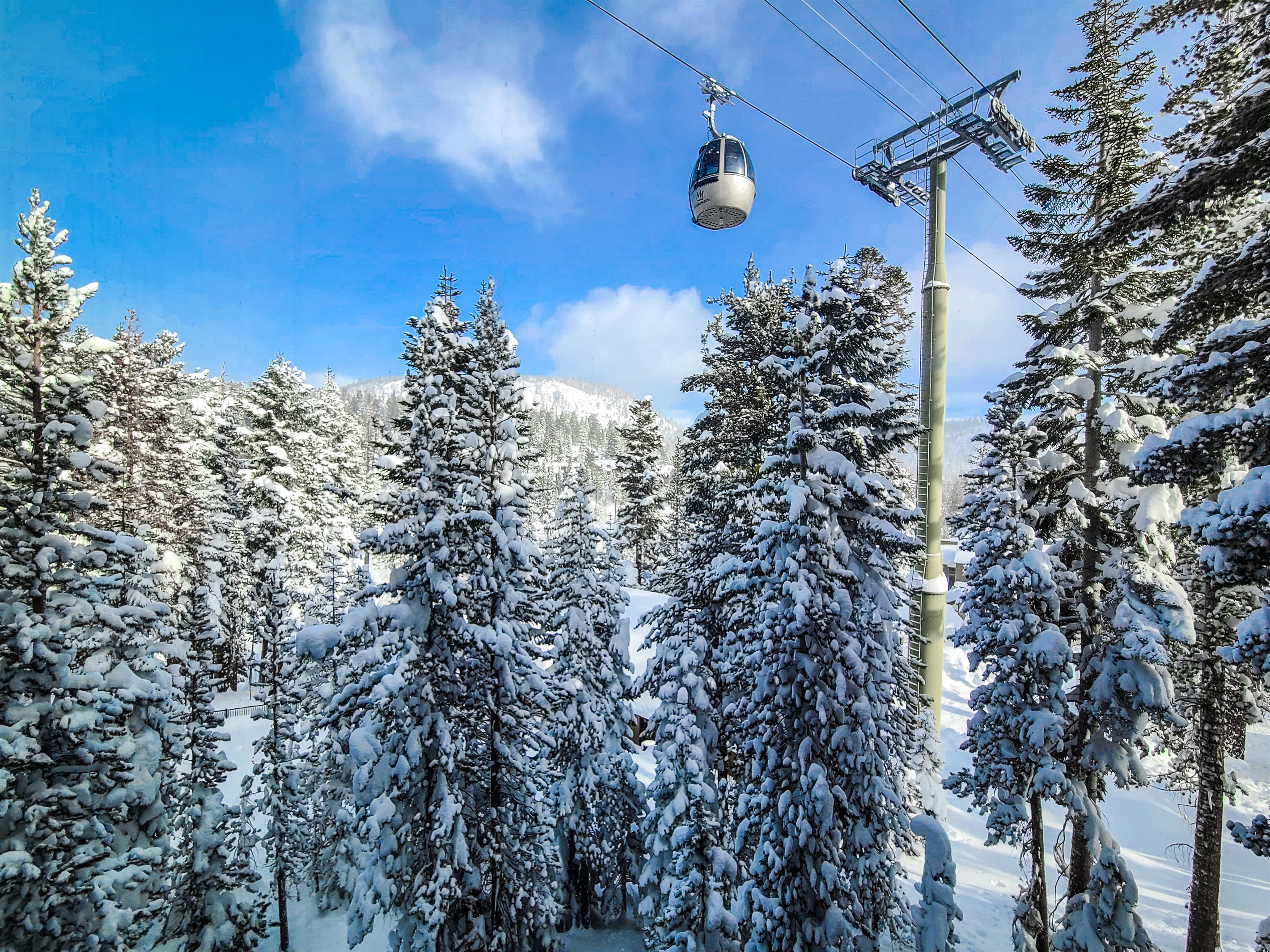 View from the living room window, with the Gondola gliding silently overhead.