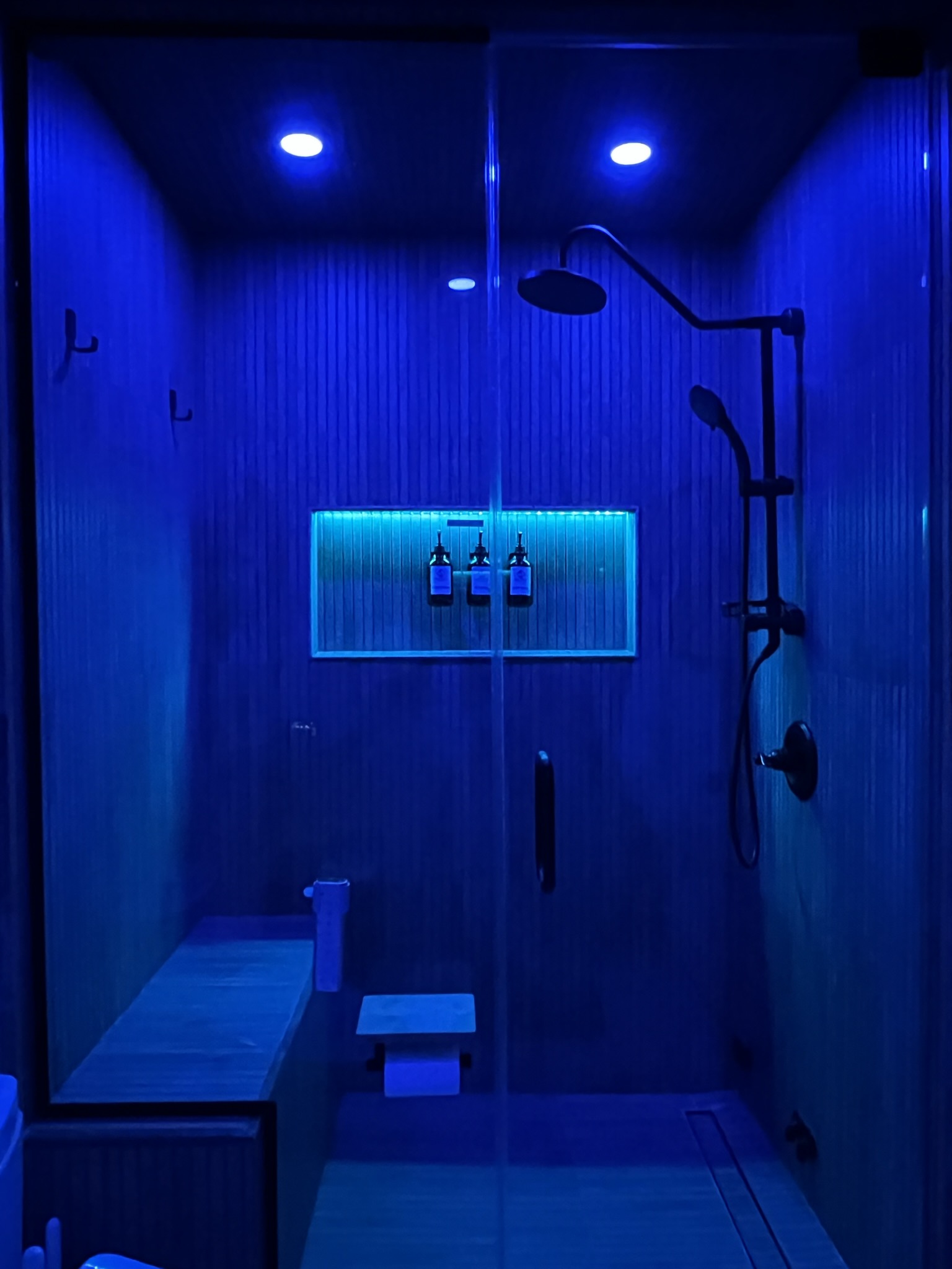 Bathroom 1 Bidet, Steamroom, Light therapy, music for a full spa experience