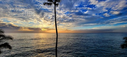 Annie's Surf Shack, Kahana Reef