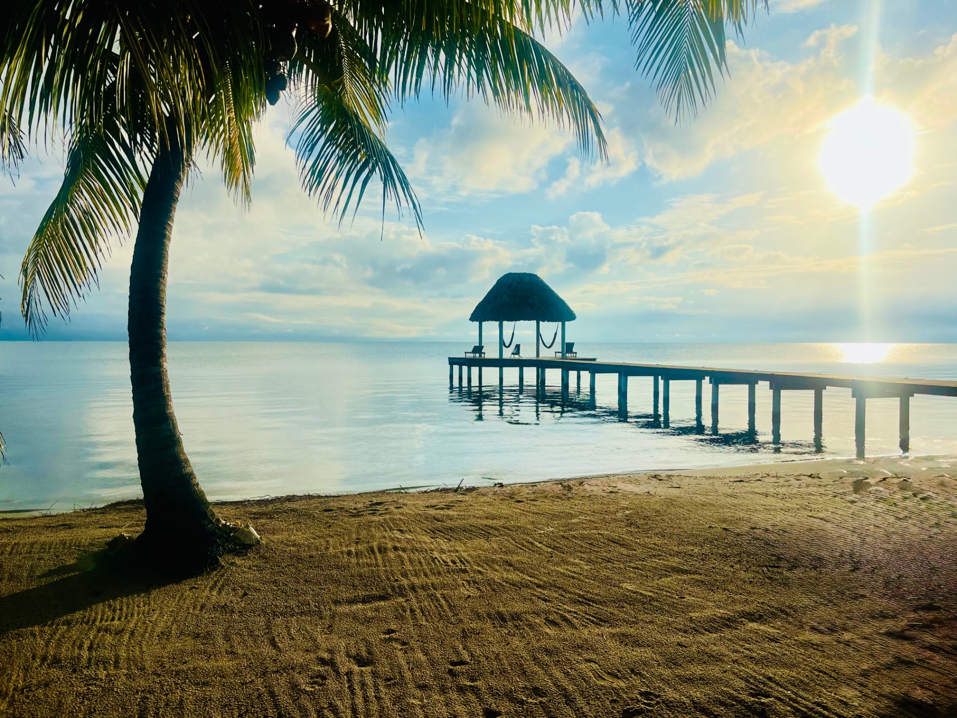 Morning is the best time to spot dolphins and manatees