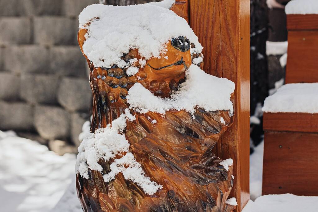 Little hidden creatures await you!