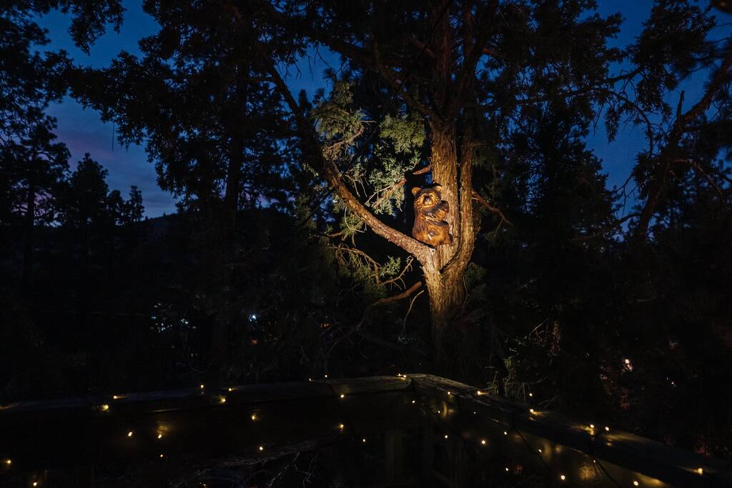 A friendly bear awaits your arrival.