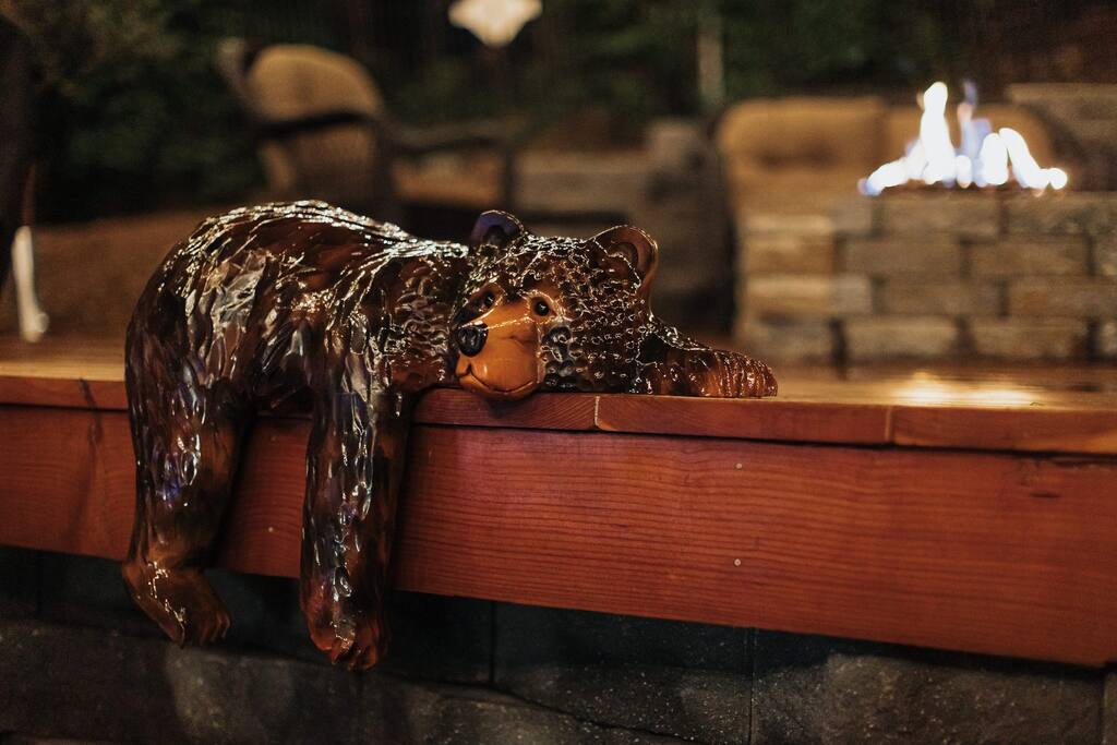 A sleepy bear taking a perfect evening rest.