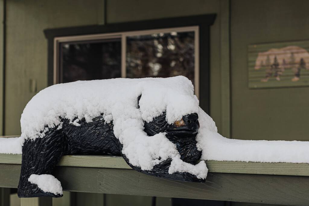 Come hibernate in the Winter with us and our bears!