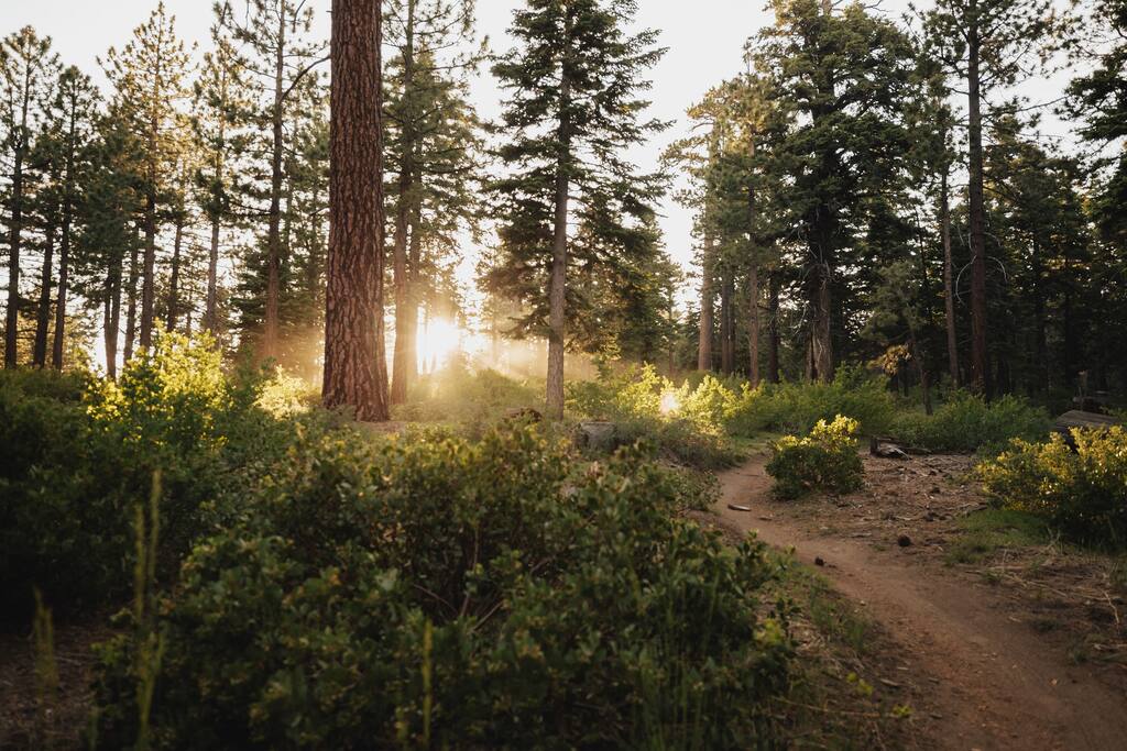 Go to www.alltrails.com and search for Big Bear. You can find appropriate trails based on your skill level and hundreds of reviews. - Underneath The Stars - Big Bear Lake