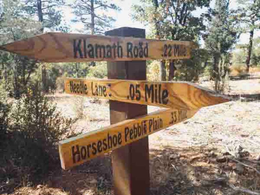 So many trails nearby!