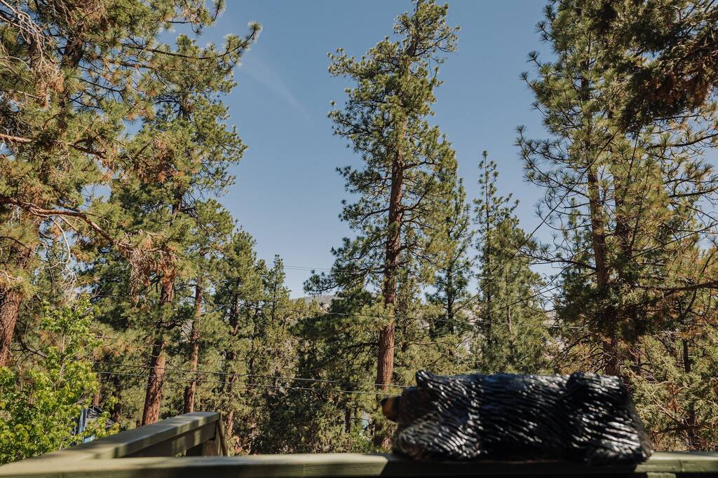 The treetop view from our cabin’s lower deck - just look at those amazing views!