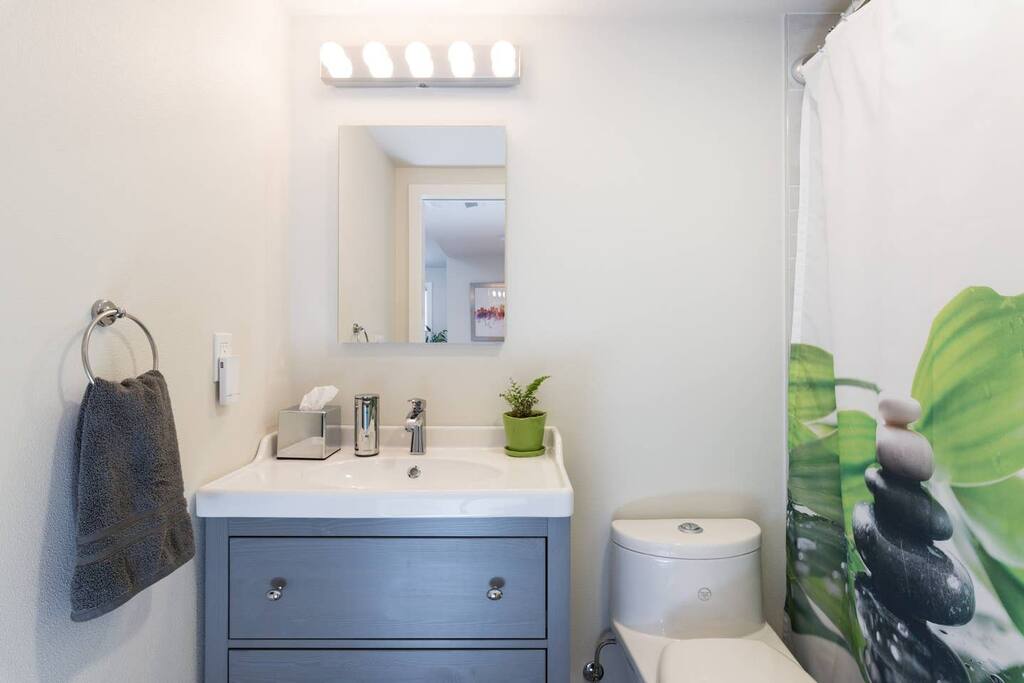 Luxury Loft ~ Bidet, Skylight & Bed for Royalty