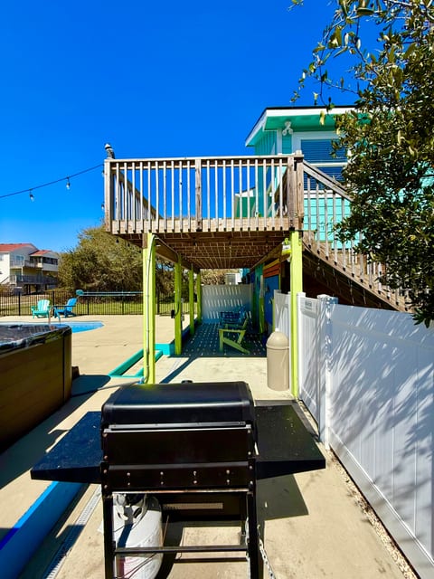 Backyard BBQ gas grill