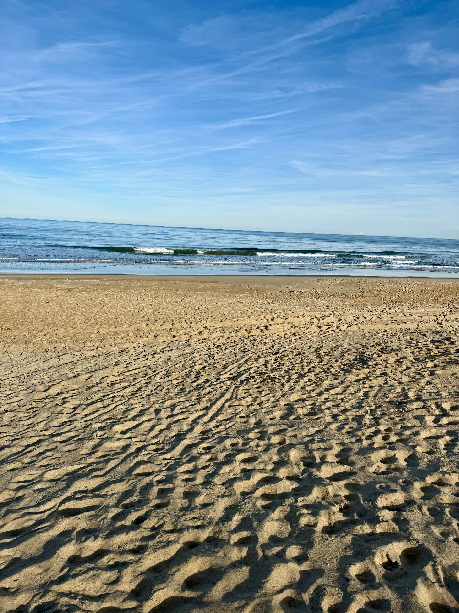 The beach is spacious and beautiful at the E. Wilkins access.