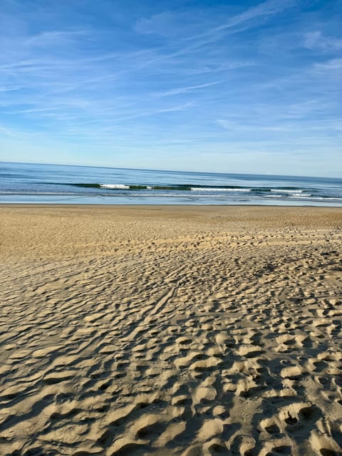 The beach is spacious and beautiful at the E. Wilkins access.