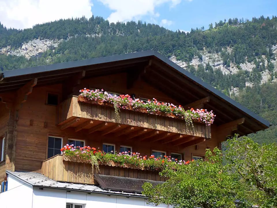 Oltschiblick - Brienzwiler