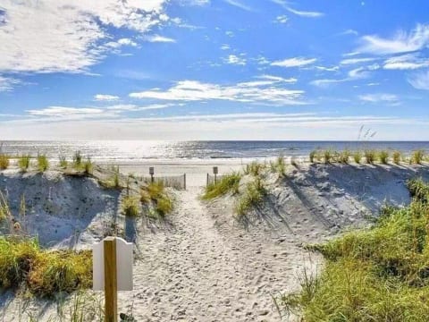 Why we all are drawn to Myrtle...The Beach!