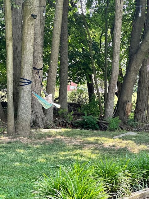 Take a break from the hustle and bustle and relax in the hammock.