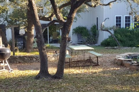 Shady yard with games