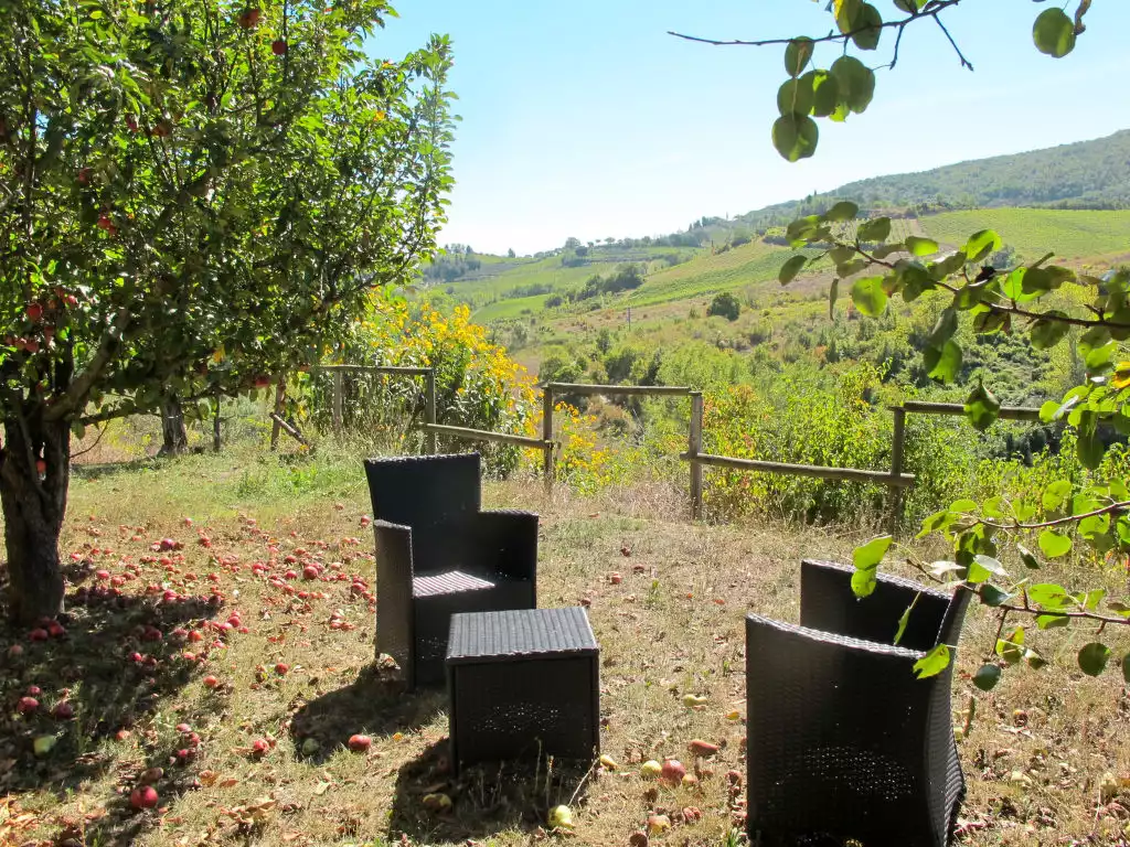 Le Sodole - Papavero e Pervinca (SGI463) - San Gimignano