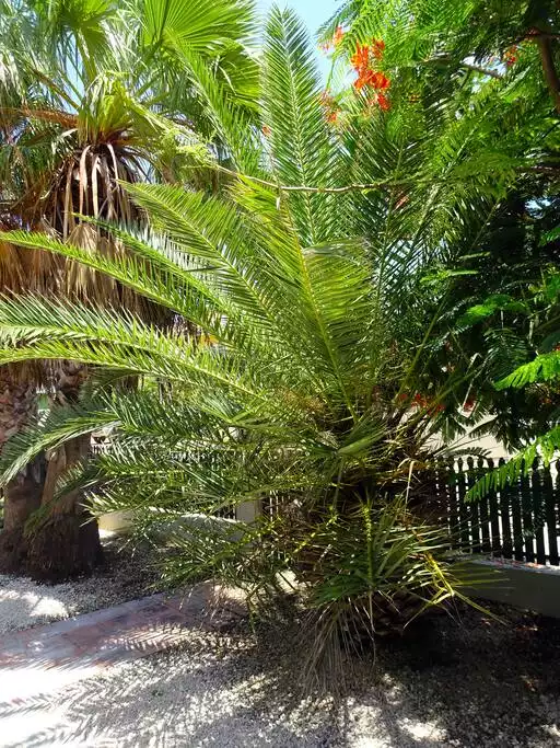 Private holiday home near city center and beaches! - Kralendijk