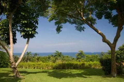 Sea Island